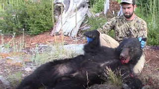 Hunting Bear in Oregon, An Oregon Fall Black Bear short film.