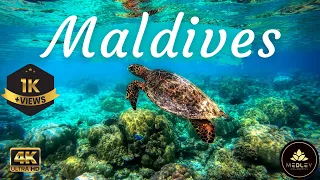 Maldives 🇲🇻 4K - Relaxation Journey in Maldives Resorts and Beaches. Calm Music | Beautiful Villas