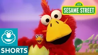 Sesame Street: Big Brother Bird | Elmo the Musical