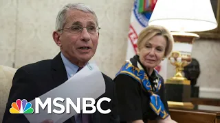 Dr. Fauci Calls Out White House Efforts To Undermine Him | Deadline | MSNBC
