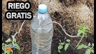 RIEGO por goteo CASERO más BARATO y rápido de hacer Con Una Botella || La Huertina De Toni