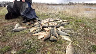 Рыбалка в РАКОВО. Попали на ЖОР карпа. 100 кг ПОРВАЛИ садок