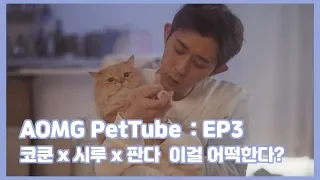 [AOMG PetTube] EP 03: CODE KUNST x Seeroo x Panda