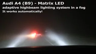 Audi A4 with Matrix LED in a fog - how it works? :: [1001cars]