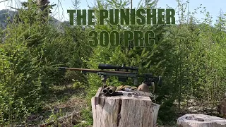 The Punisher 300 PRC  250 Grain A-Tips shooting through steel 650 yards