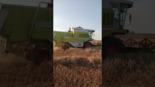 Claas Dominator 88sl