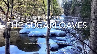 Trip Report - The Sugarloaves - Mar 12th, 2021