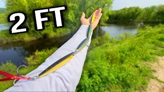 can this 2 FT SNAKE LURE catch a RIVER MONSTER!