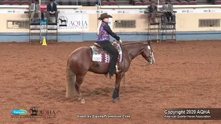 2020 AQHA Amateur Reining