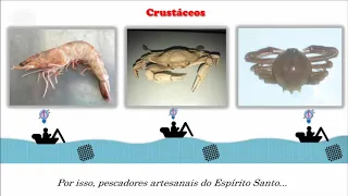 Crustáceos e o saber dos pescadores