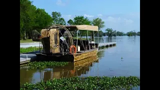 Born On The Bayou - Creedence Clearwater Revival - Lyrics