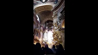 Peterskirche Wien - Organ concert