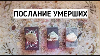 Послание умерших | Таро онлайн расклад | Белое гадание