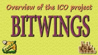 BITWINGS / Overview of the company.