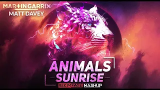 Martin Garrix vs Matt Davey, Kate Dowman - Animals Sunrise (Bekim Izairi Mashup)