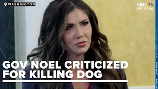 Gov. Kristi Noem receives criticism from Democrats and Republicans for killing dog