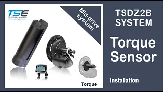 Tongsheng TSDZ2B Drive System Installation