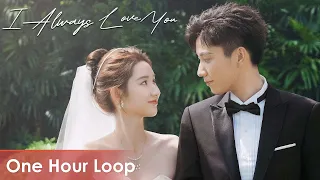 【One Hour Loop】The Love You Give Me《你给我的喜欢》 | 《I Always Love You》by Curley Gao【ENG SUB】