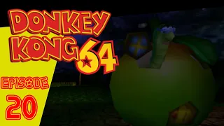 Donkey Kong 64 - Episode 20: "Frolic in the Forest"