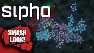 Sipho Gameplay - Smash Look!