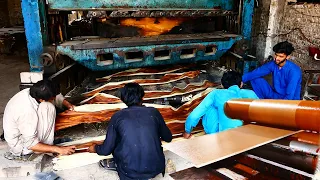 Amazing Manufacturing of Wood Veneer || How Chipboard is Made