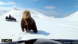 Near death, bear attack and other close calls recorded with gopro camera