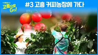 고흥으로 GO! #3 고흥 커피 체험 농장에 가다! (김세아&크리스)