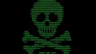 Beware the flashing skull | Petya Ransomware