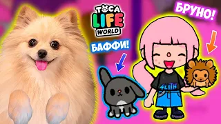 ЕЖИК БРУНО И КРОЛИК БАФФИ В ТОКА БОКА ! НОВЫЕ ПИТОМЦЫ ! НШАЛА В ПАРКЕ TOCA WORLD