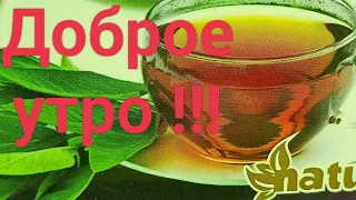 С прекрасным добрым  утром!  Поёт Ольга Плотникова.