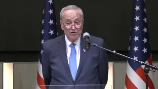 Schumer: US will quickly provide military aid to Israel