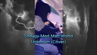 Shaggy-Mad Mad World Unknown (Cover)