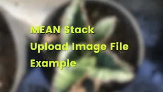 MEAN Stack (Angular 10) Tutorial: Upload Image File