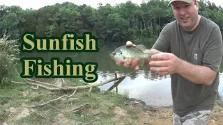 Fishing for big Shellcrackers (Redear Sunfish)