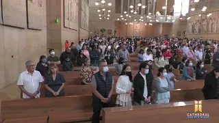 Fourth Sunday of Easter - Mother's Day Mass at the Cathedral