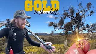 GOLD HUNTING $$$. A nice payload of CHUNKY GOLD found Sniping a NEW CREEK while Bowhunting!