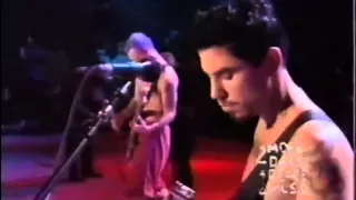 Red Hot Chili Peppers - Live @ Woodstock '94 [Full Concert]