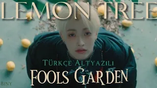 [TR] ATEEZ BY. HONGJOONG #6  ~ Lemon Tree (Original. Fools Garden) Türkçe Altyazılı