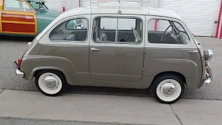1959 Fiat Multipla July 2020