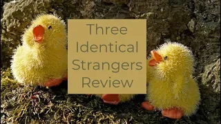 Three Identical Strangers Review