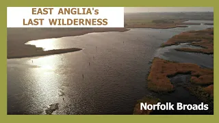 NORFOLK BROADS - EAST ANGLIA's LAST WILDERNESS | A canoe documentary, wooden canoes wild camp