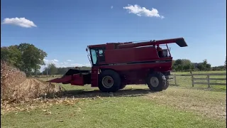 @panen jagung di AMERIKA #ceritaku