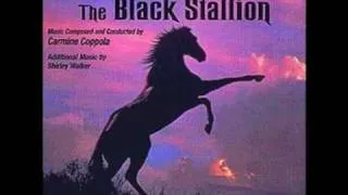 black stallion returns