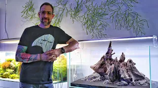 Simple yet Stunning Hardscape Step by Step at Aquarium Design Group