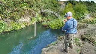 Fishing Tiny Creek and Catching Huge Trout