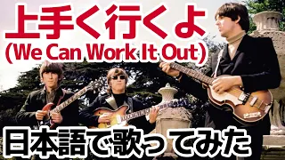 【ビートルズ】上手く行くよ（We Can Work It Out）【日本語で歌ってみた】