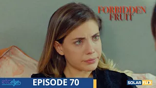 Forbidden Fruit Episode 70 | FULL EPISODE | TAGALOG DUB | Turkish Drama