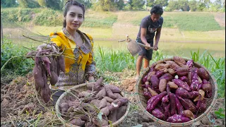 Sweet potato in my countryside and cook food recipe - Polin lifestyle