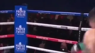 leo santa cruz vs tank davis highlights