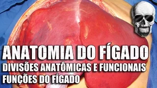 Vídeo Aula 150 | Anatomia Humana | Sistema Digestório • Fígado: Anatomia funcional e funções gerais